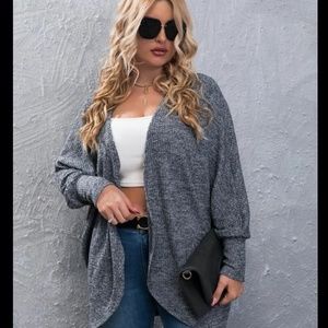 Express Cardigan Sweater